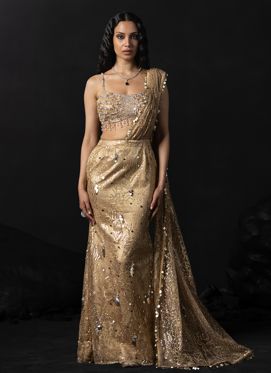 Gold Embroidered Net Saree