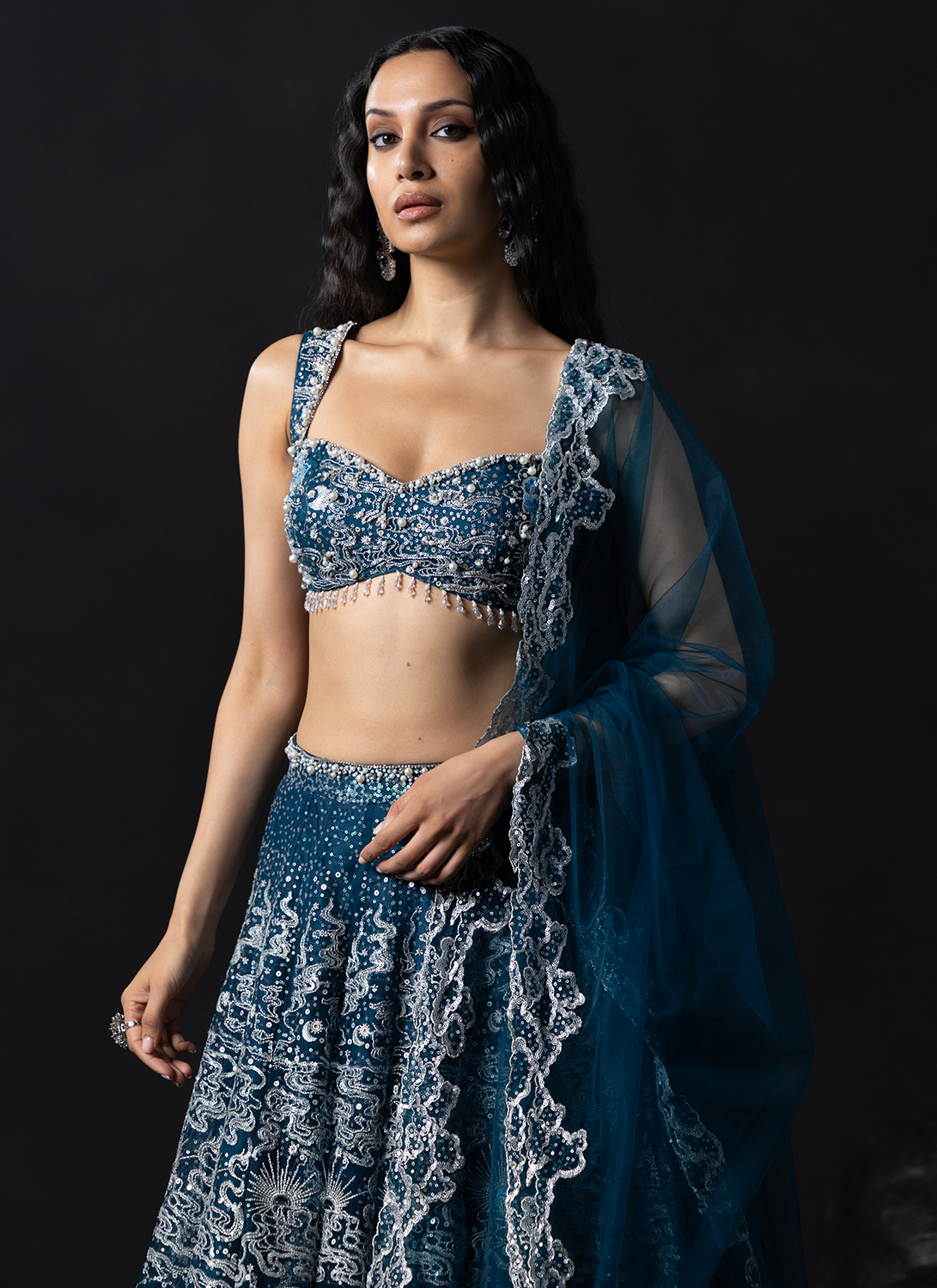 Blue Embroidered Net Lehenga