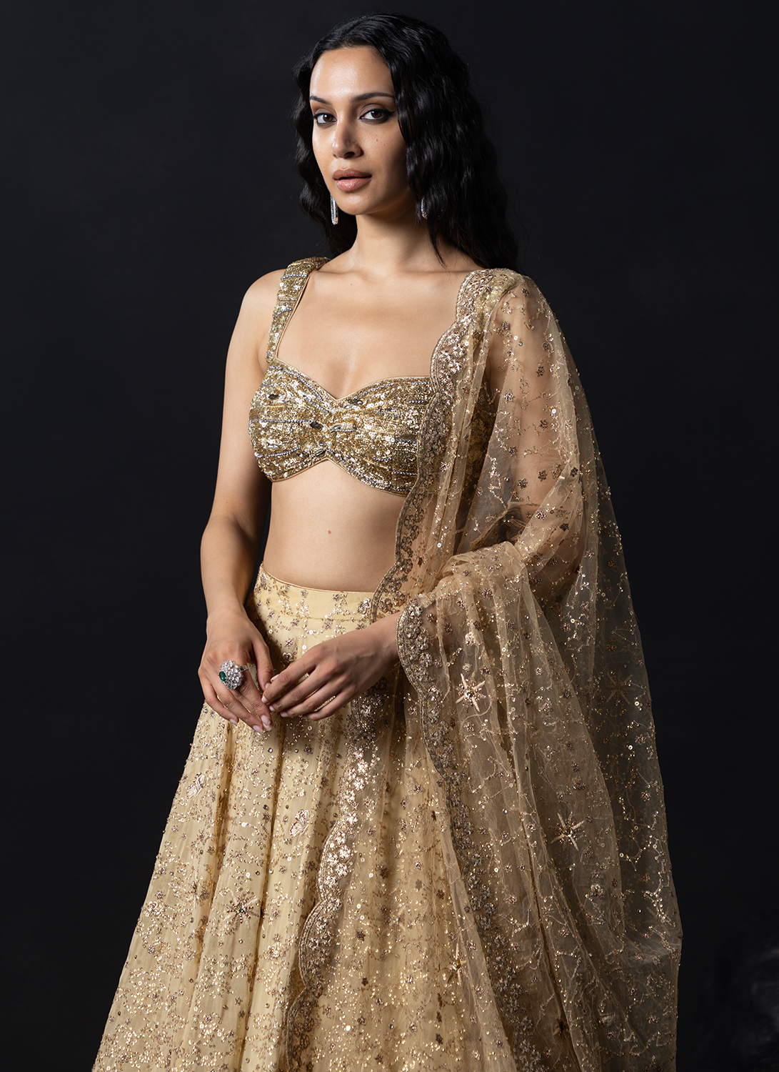 Gold Embroidered Viscose Organza Lehenga