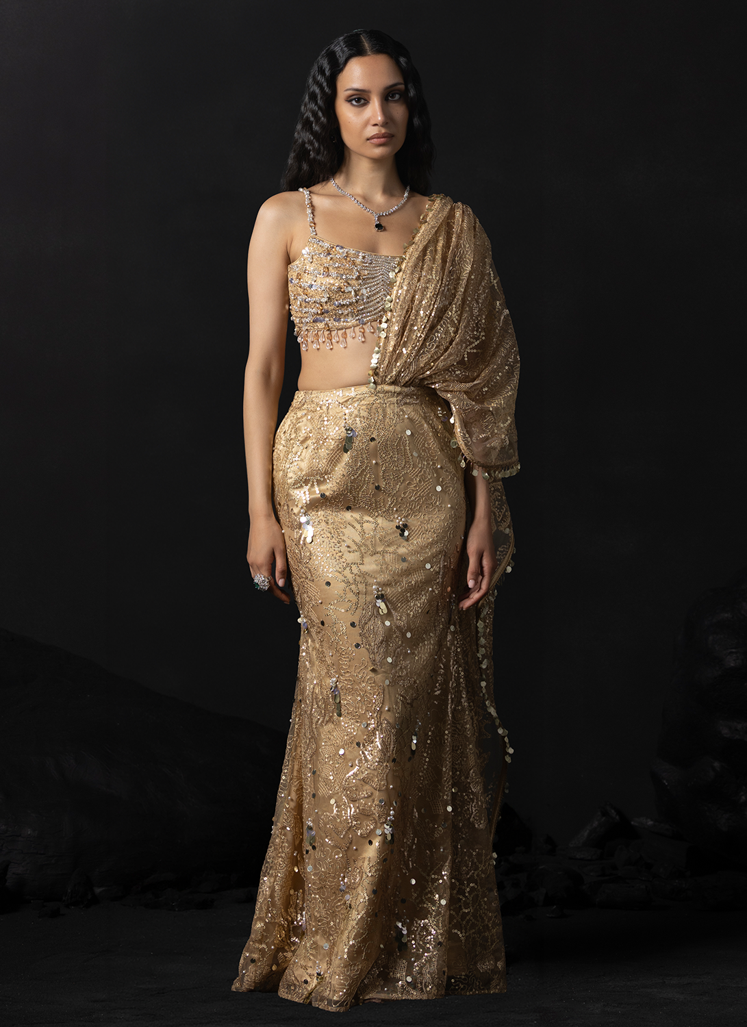 Gold Embroidered Net Saree