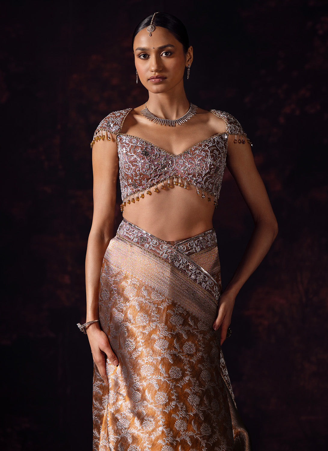 Brown Embroidered Tissue Saree