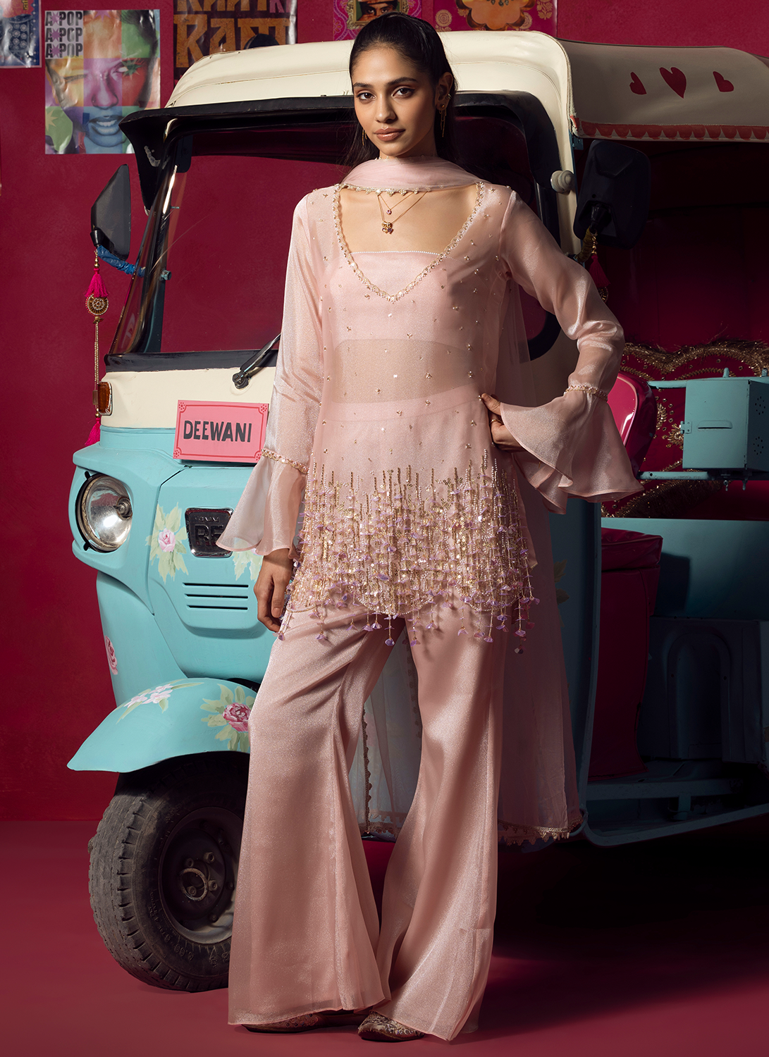 Blush Pink Embroidered Net Pant Suit