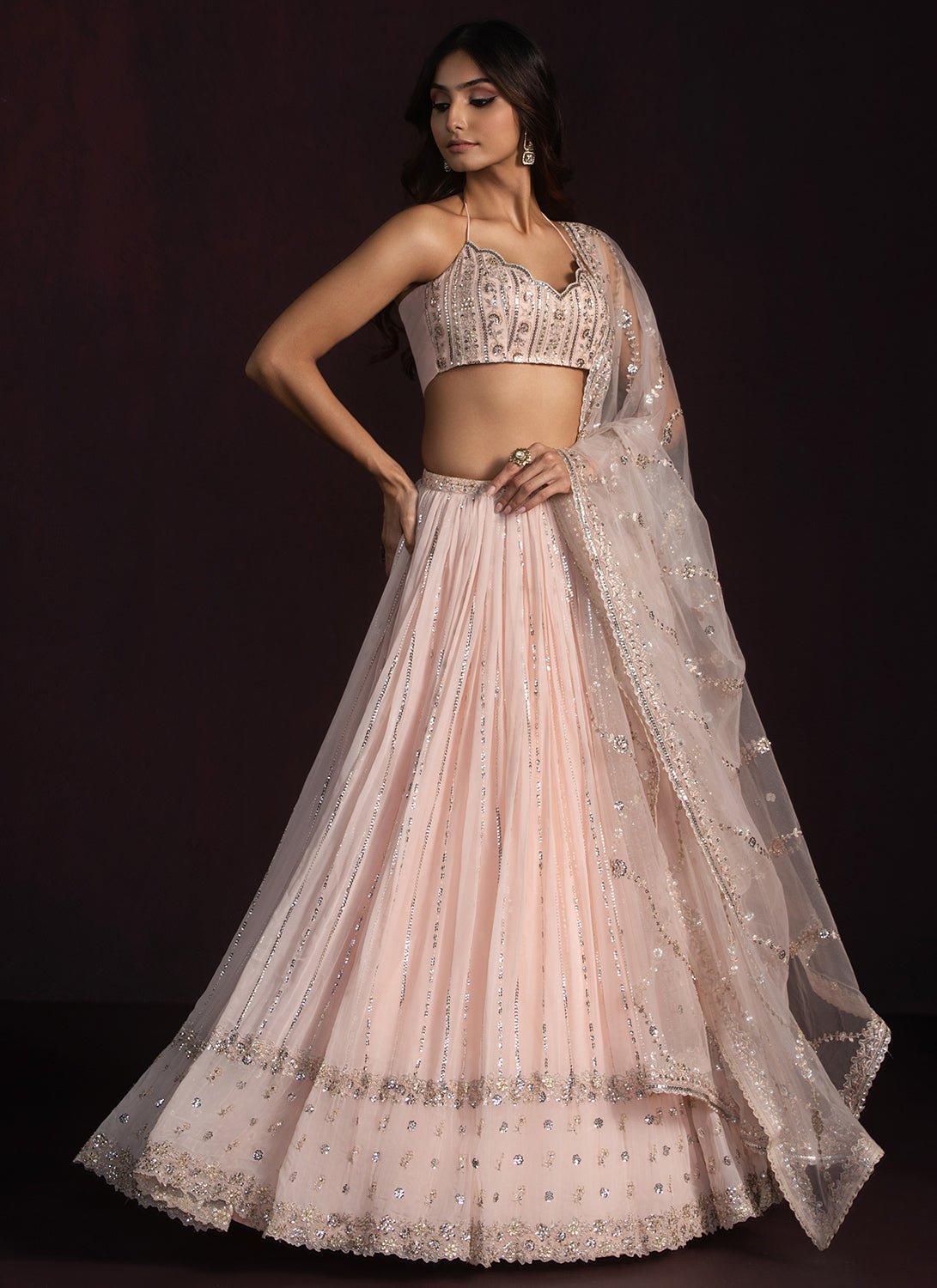 Blush Embroidered Georgette Lehenga - Lashkaraa