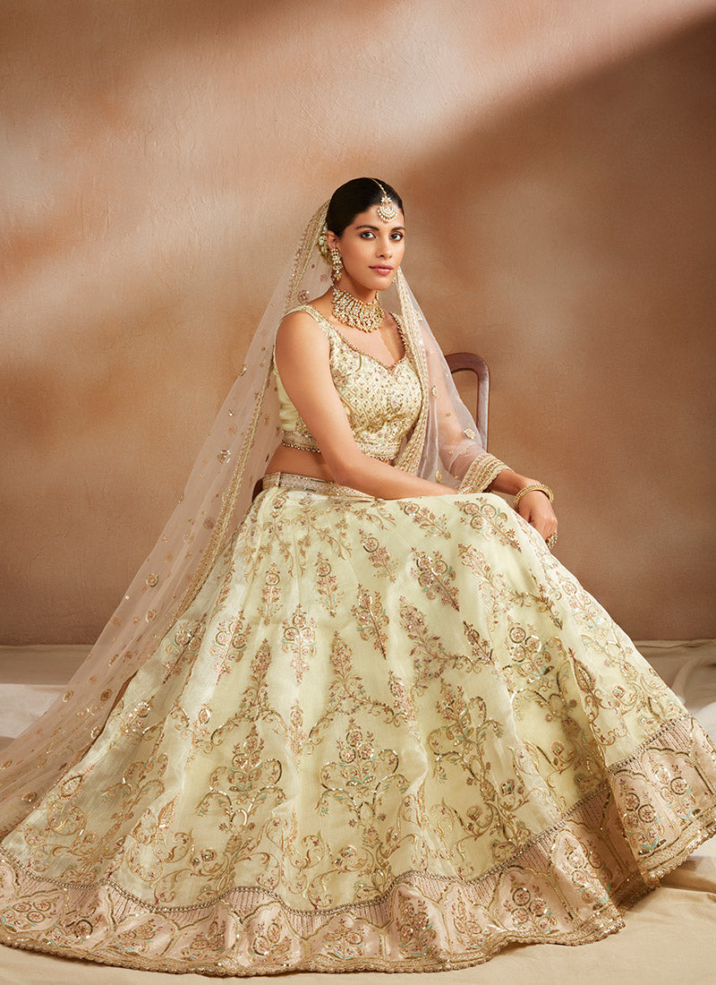 Soft Yellow Embroidered Organza Lehenga