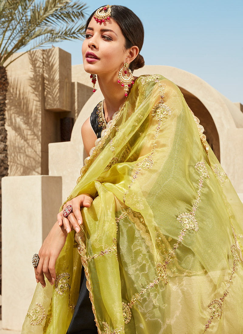 Black and Lime Green Silk Punjabi Suit