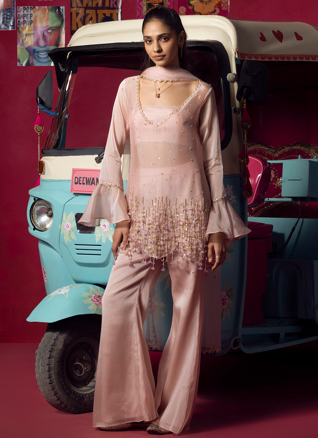 Blush Pink Embroidered Net Pant Suit