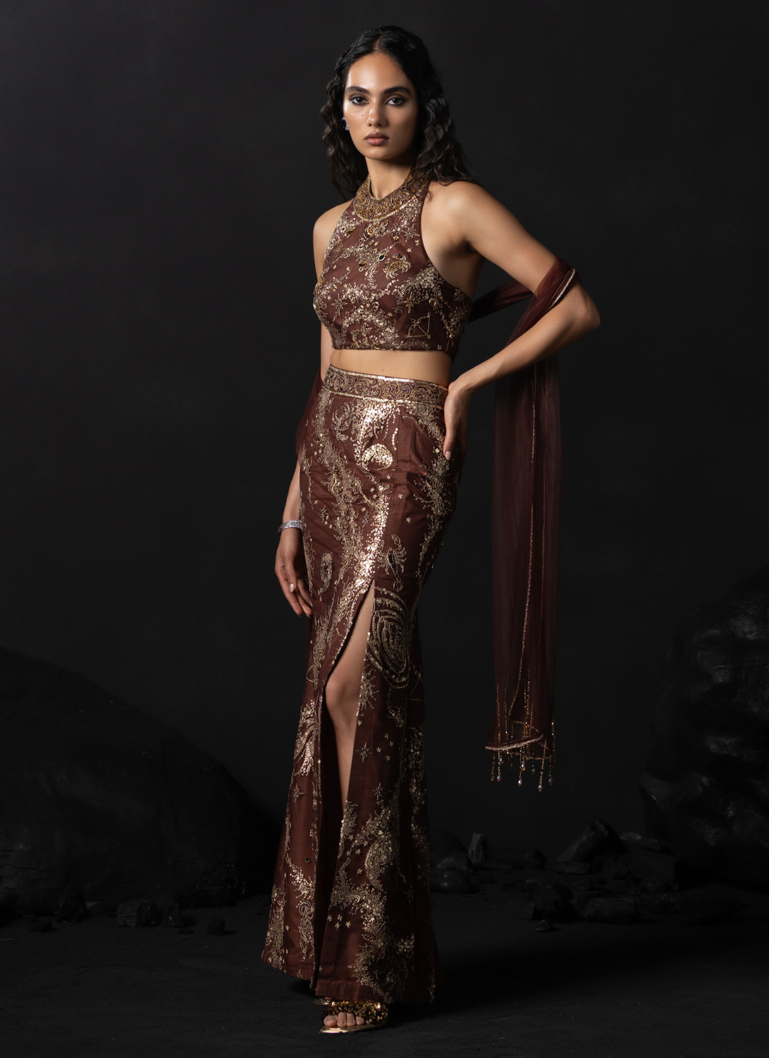 Rust Embroidered Net Lehenga