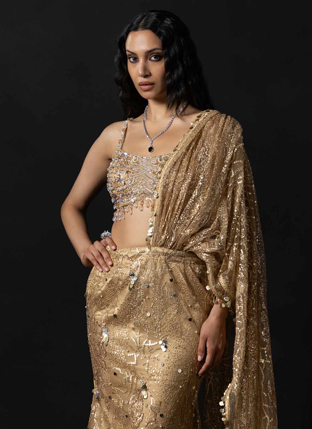 Gold Embroidered Net Saree