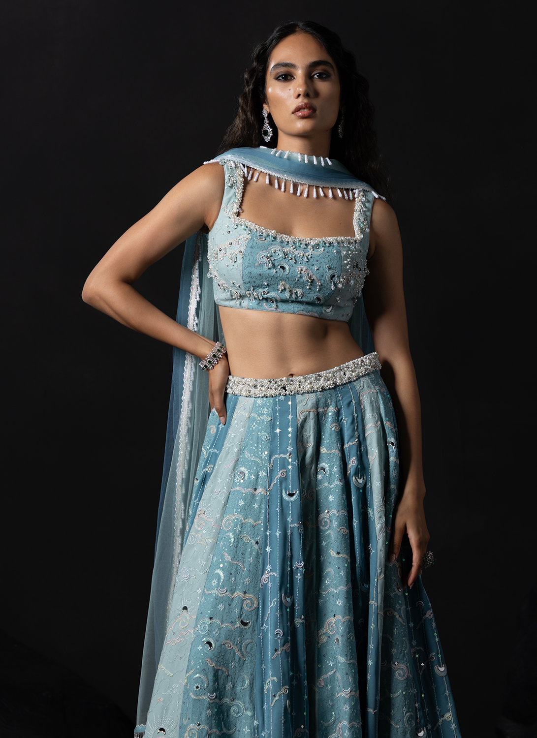 Powder Blue Embroidered Georgette Lehenga