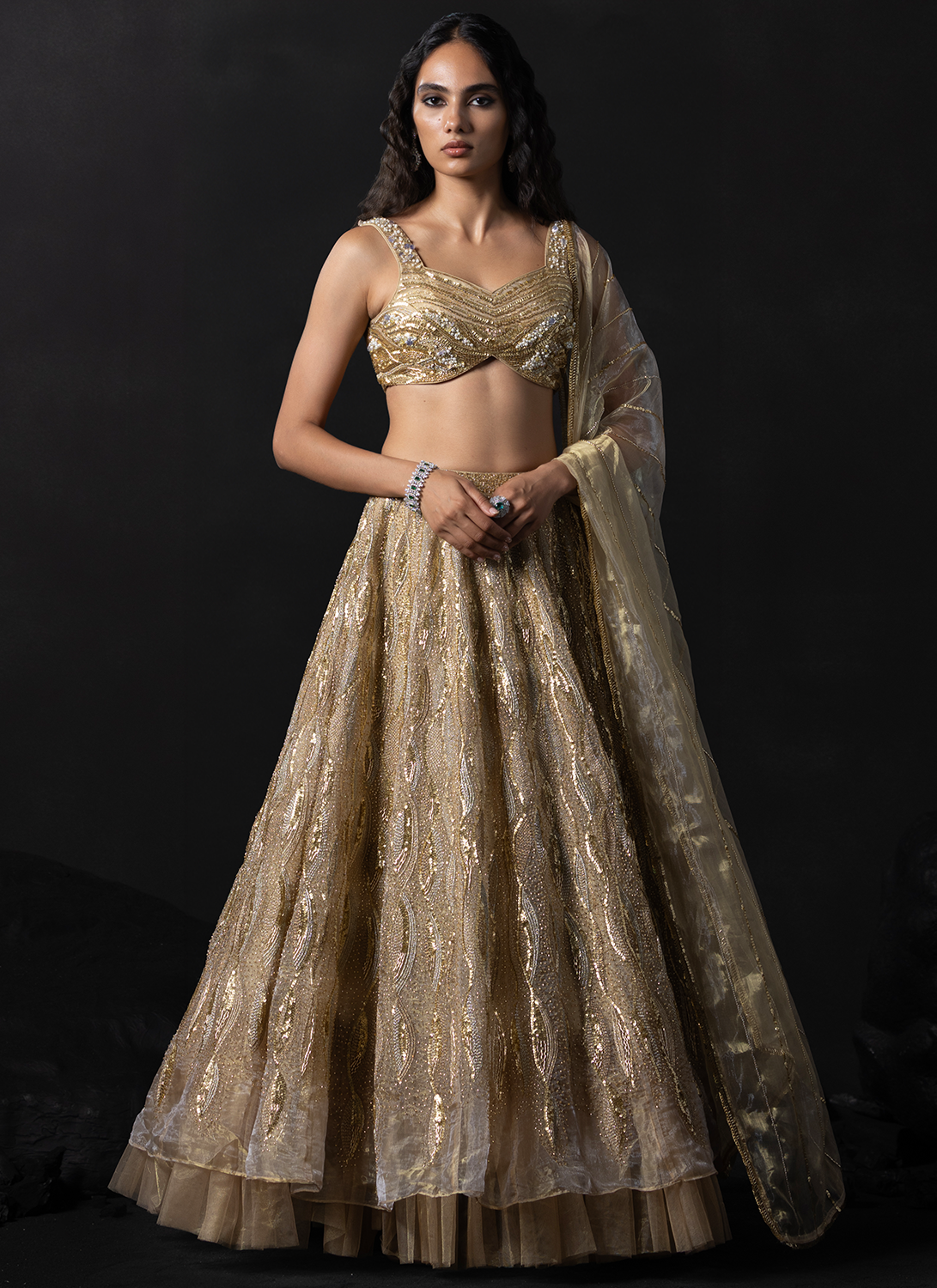Champagne Gold Embroidered Tissue Lehenga