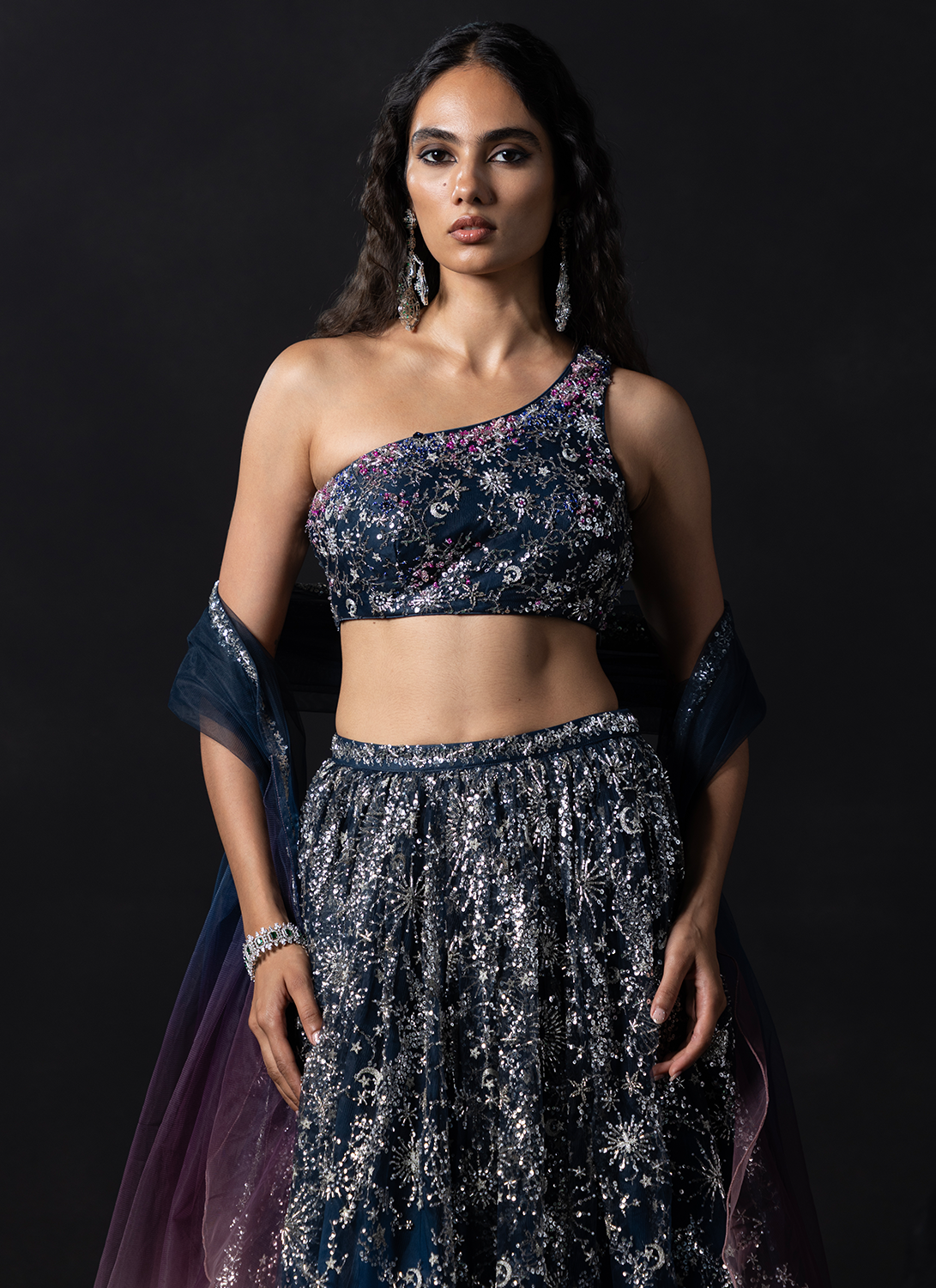 Navy Blue and Dusty Rose Embroidered Net Lehenga