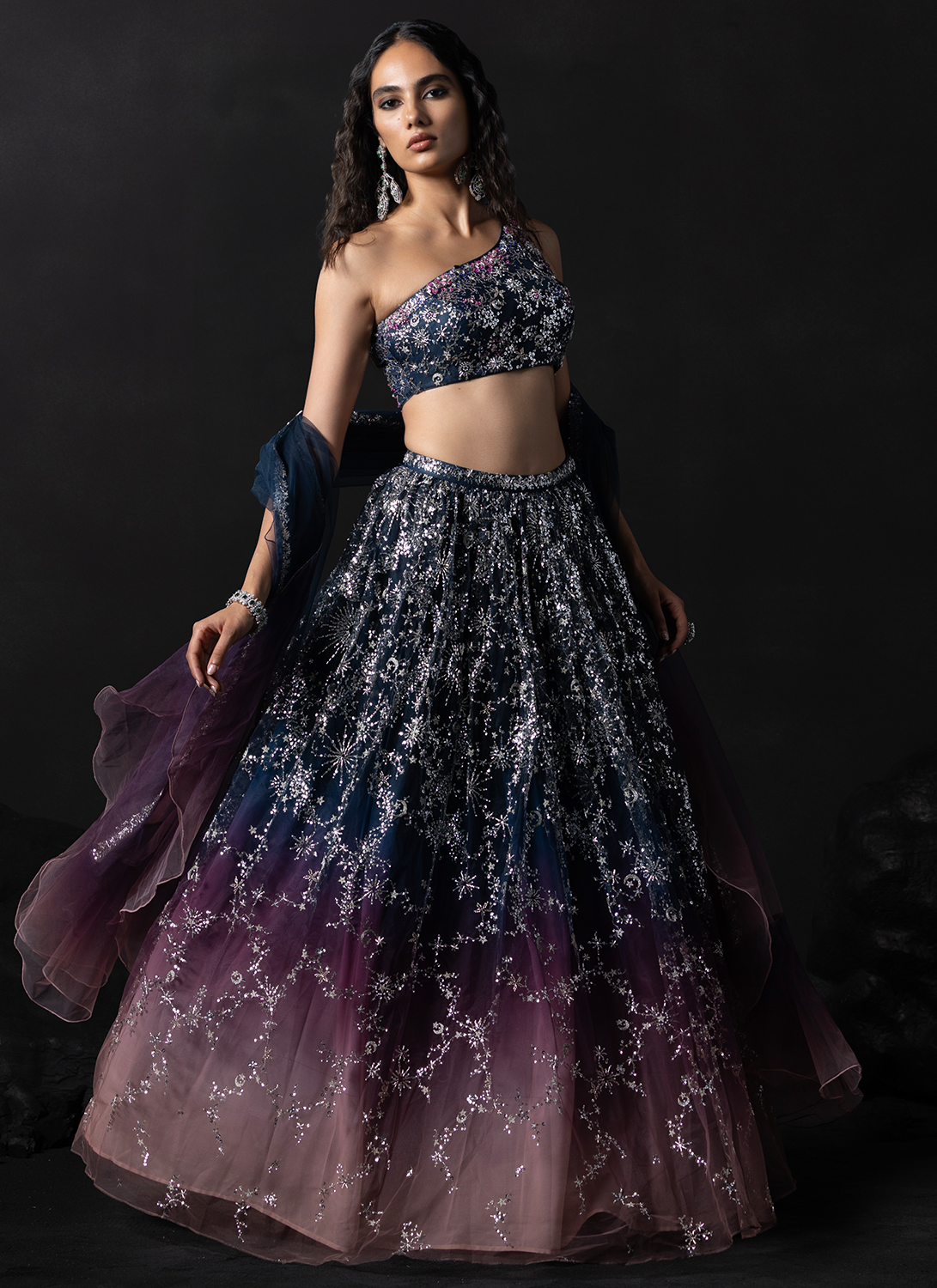 Navy Blue and Dusty Rose Embroidered Net Lehenga