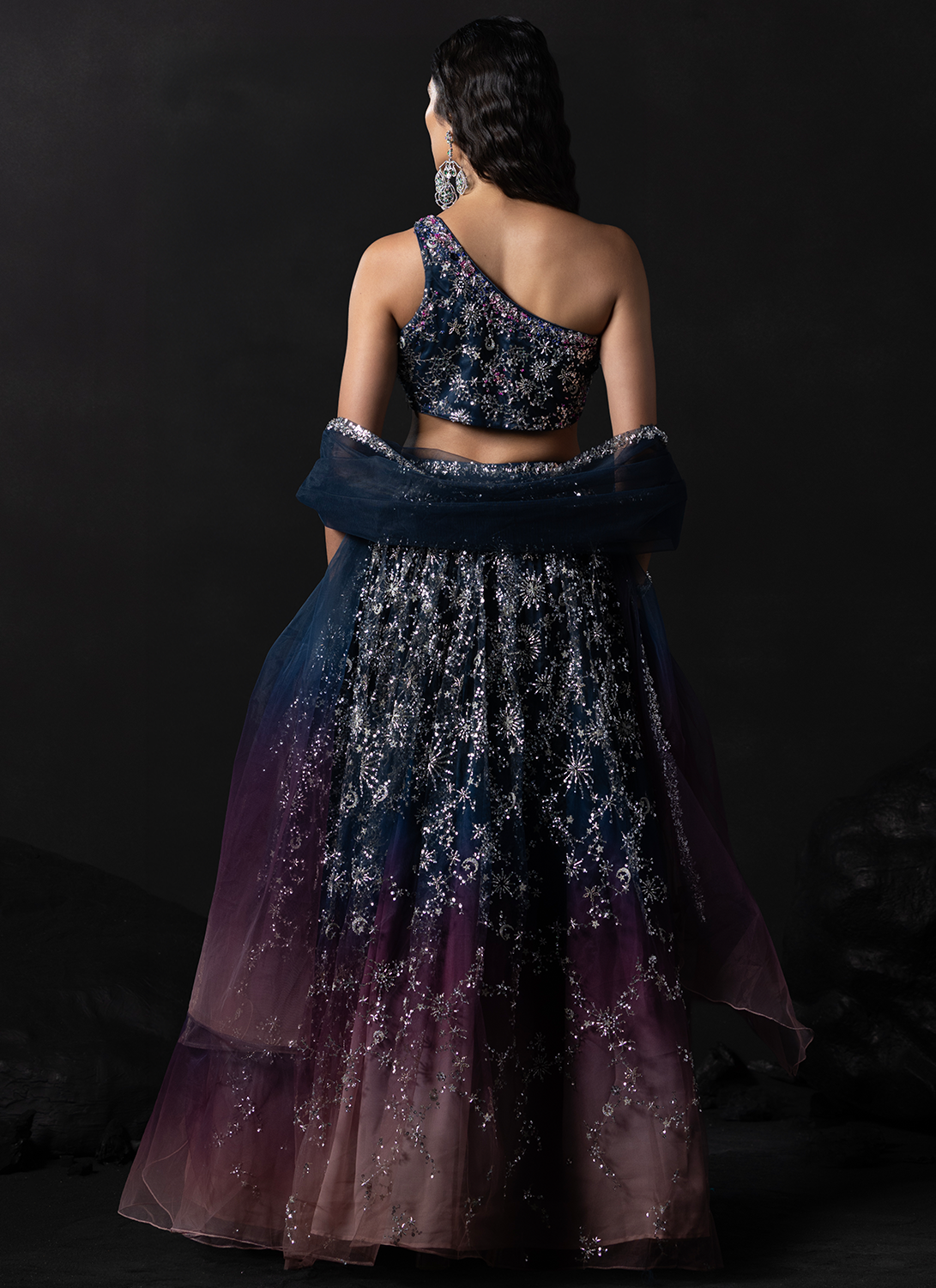 Navy Blue and Dusty Rose Embroidered Net Lehenga