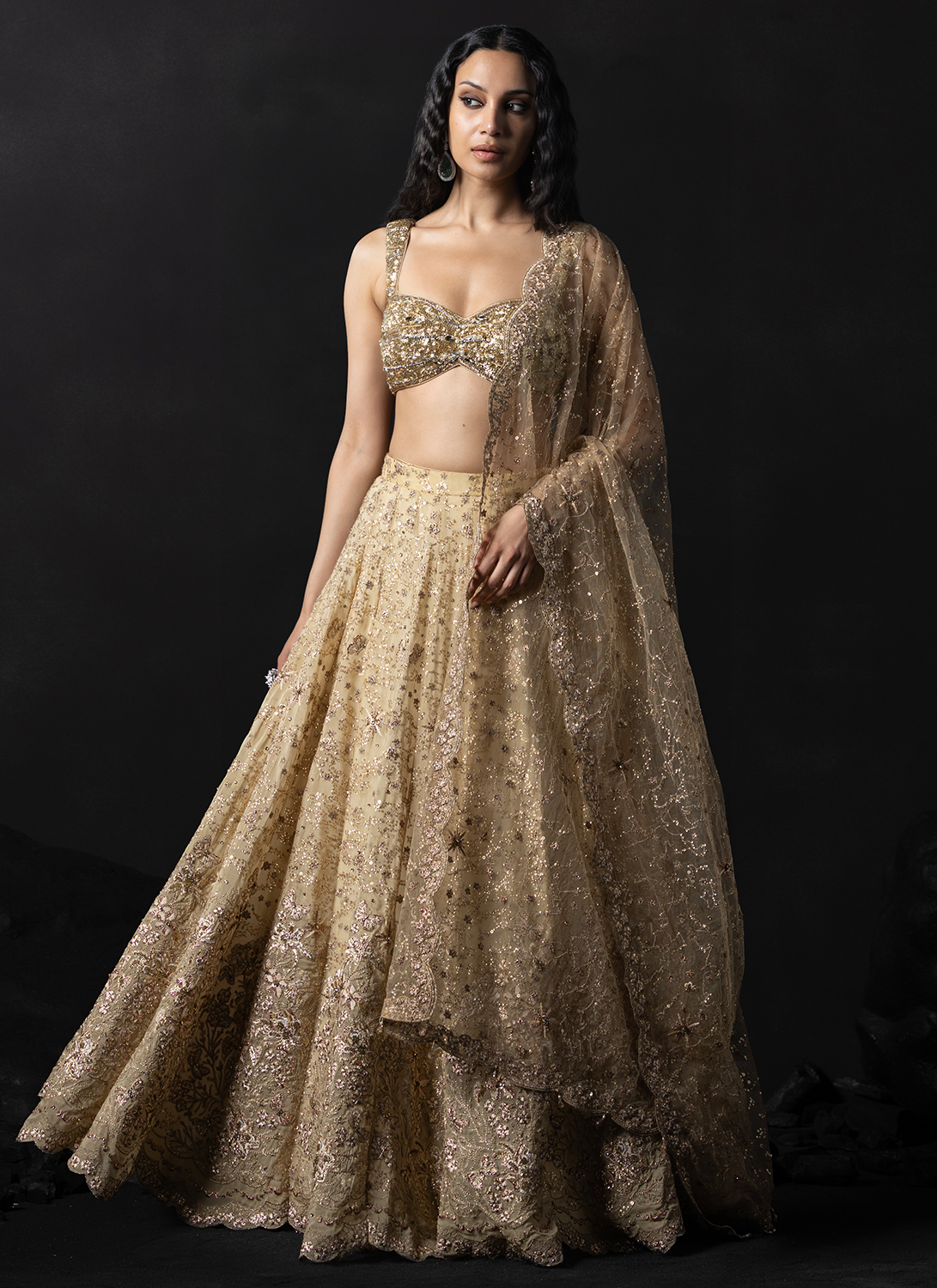Gold Embroidered Viscose Organza Lehenga