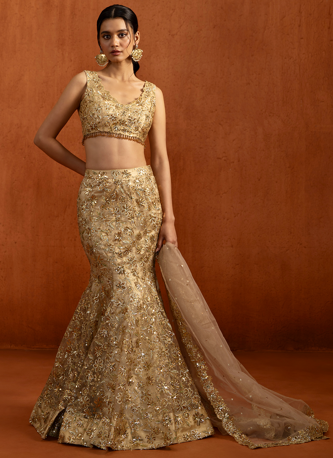 Gold Fishcut Embroidered Net Lehenga