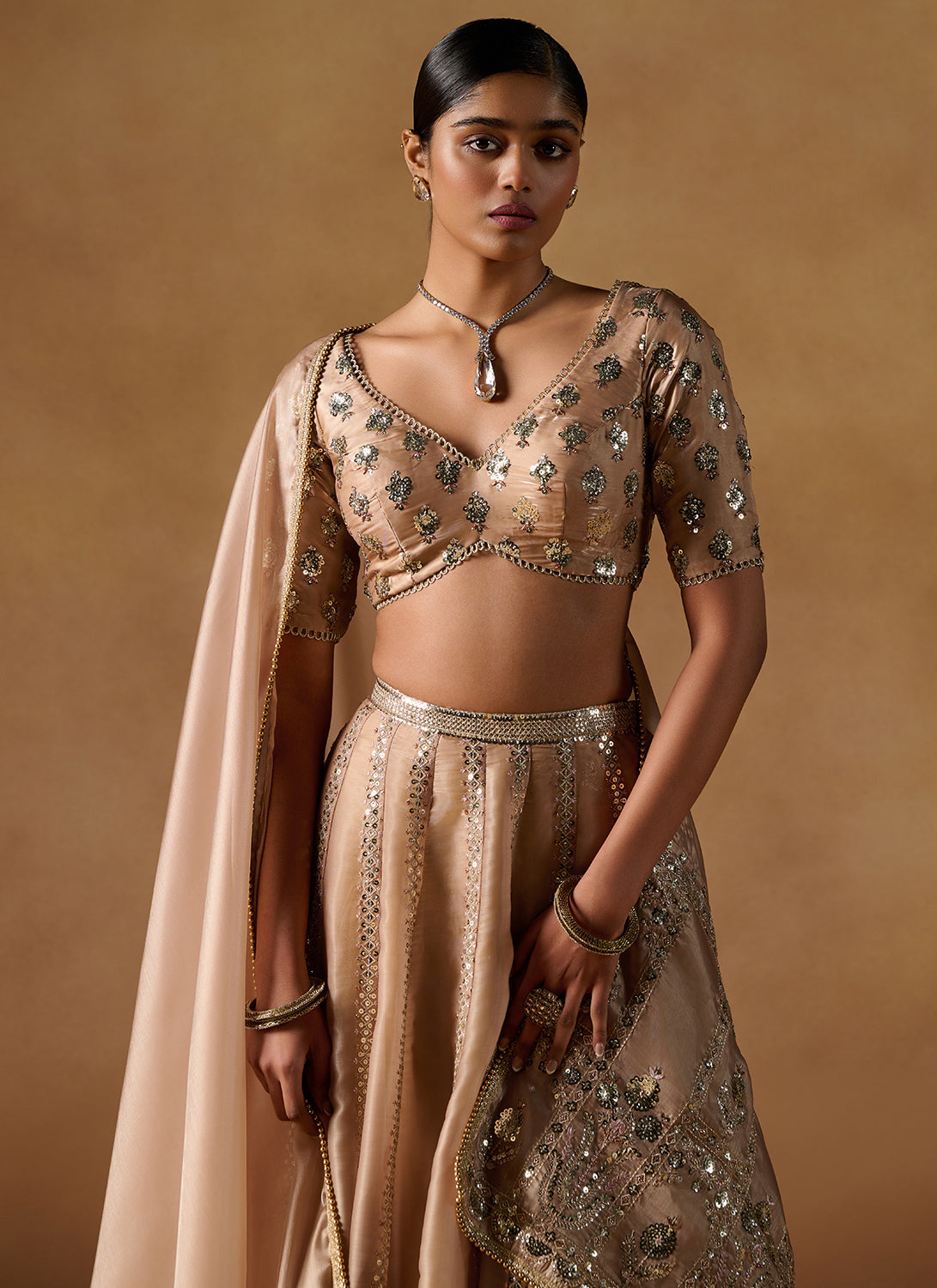 Gold Embroidered Tissue Lehenga