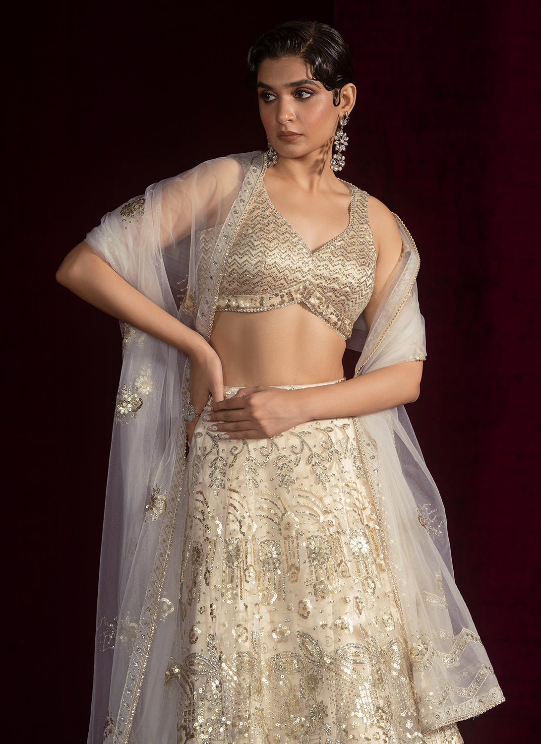 Nude Embroidered Net Lehenga