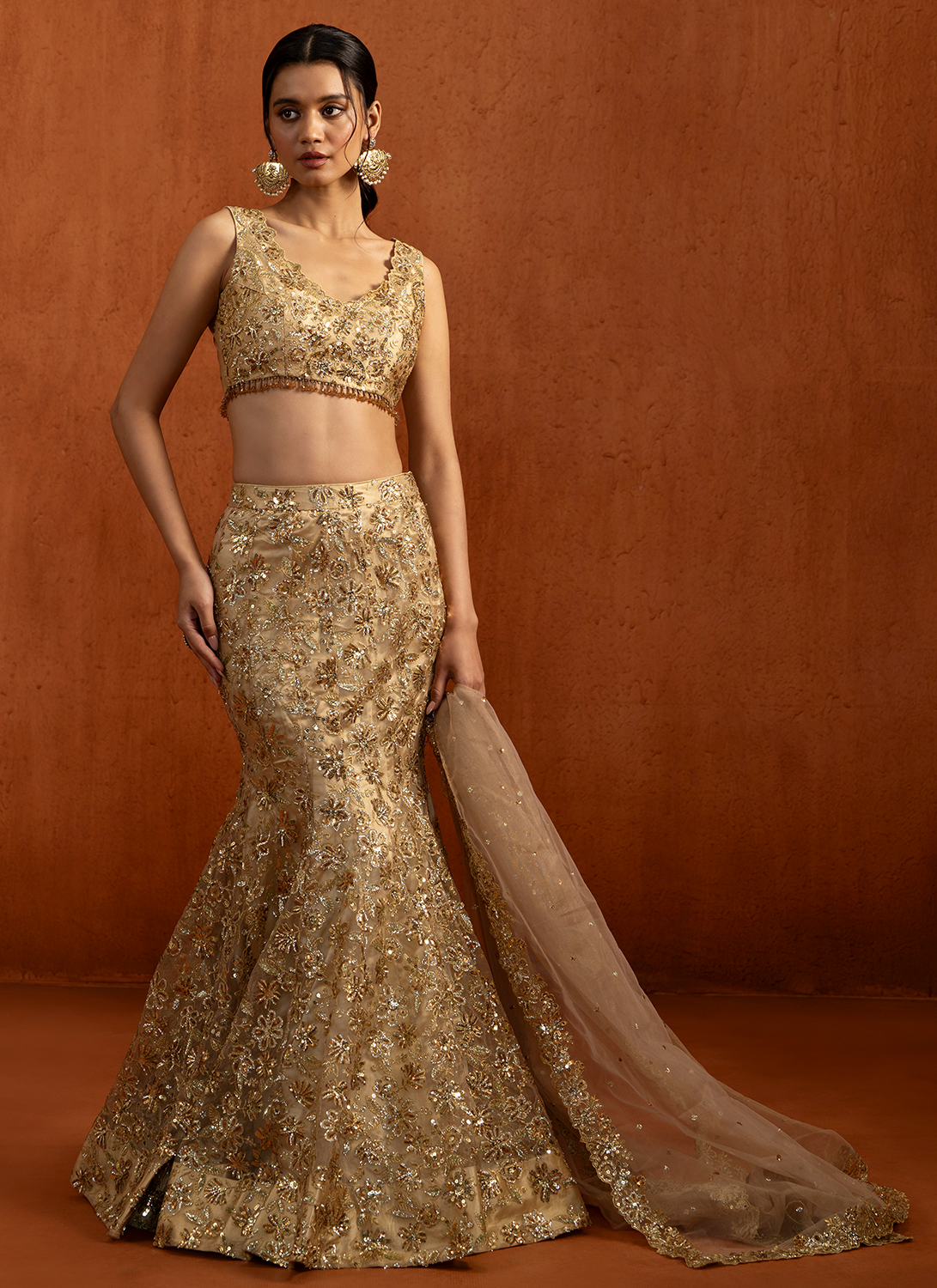 Gold Fishcut Embroidered Net Lehenga