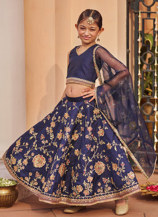 Kids Navy Blue Embroidered Lehenga