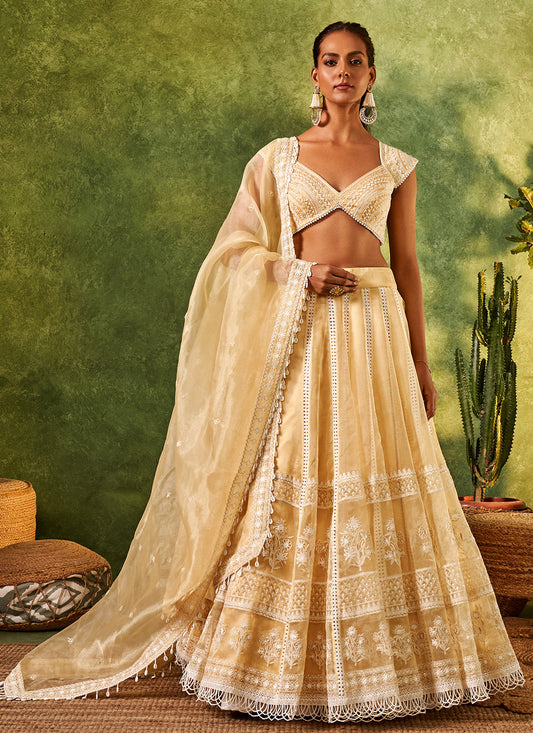 Soft Golden Embroidered Organza Lehenga