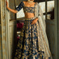 Dark Blue Embroidered Lehenga