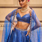 Blue Embroidered Brocade Lehenga