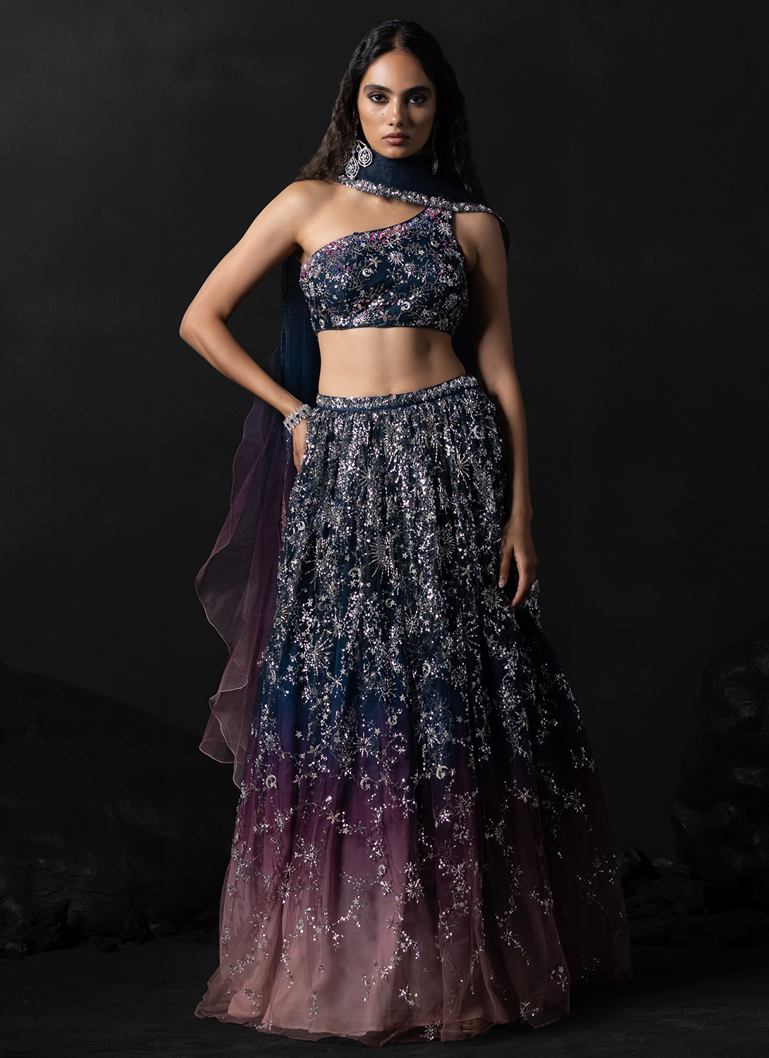 Navy Blue and Dusty Rose Embroidered Net Lehenga