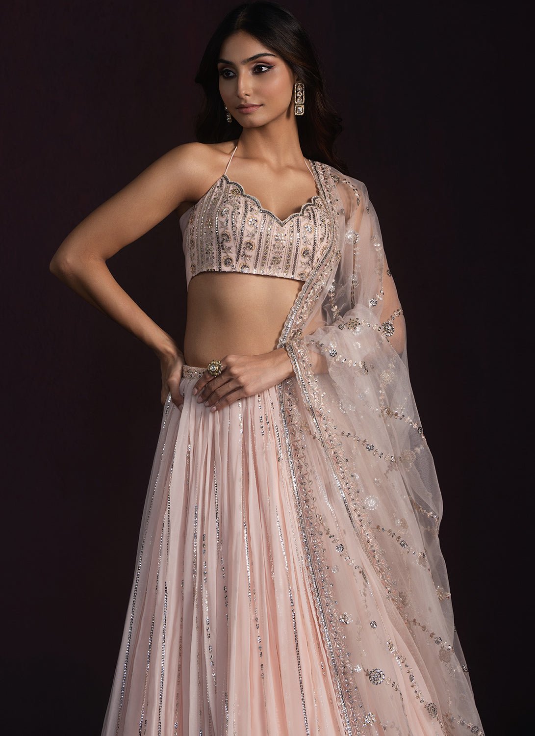 Blush Embroidered Georgette Lehenga - Lashkaraa