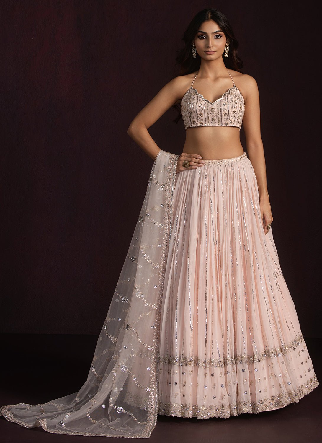 Blush Embroidered Georgette Lehenga - Lashkaraa