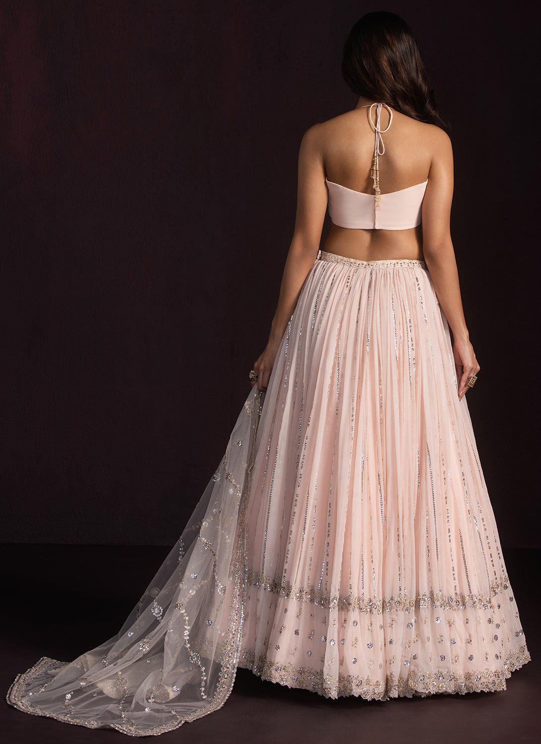 Blush Embroidered Georgette Lehenga - Lashkaraa