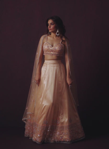 Soft Blush Embroidered Net Lehenga