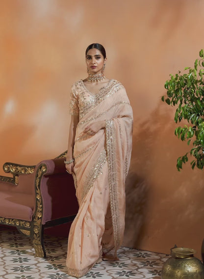 Blush Embroidered Net Saree