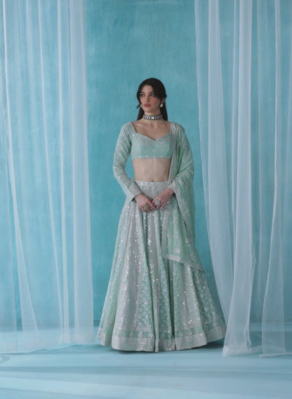 Soft Green Embroidered Lucknowi Lehenga