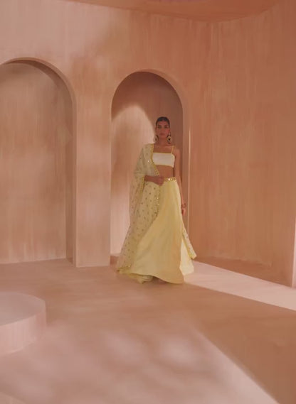 Soft Yellow Embroidered Silk Lehenga