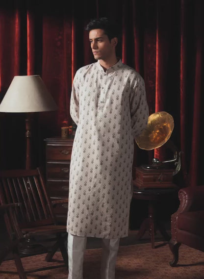 Light Grey Printed Kurta Set