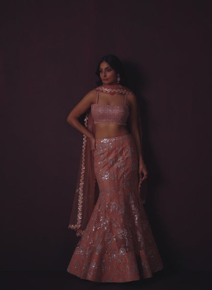 Peach Fishcut Embroidered Net Lehenga
