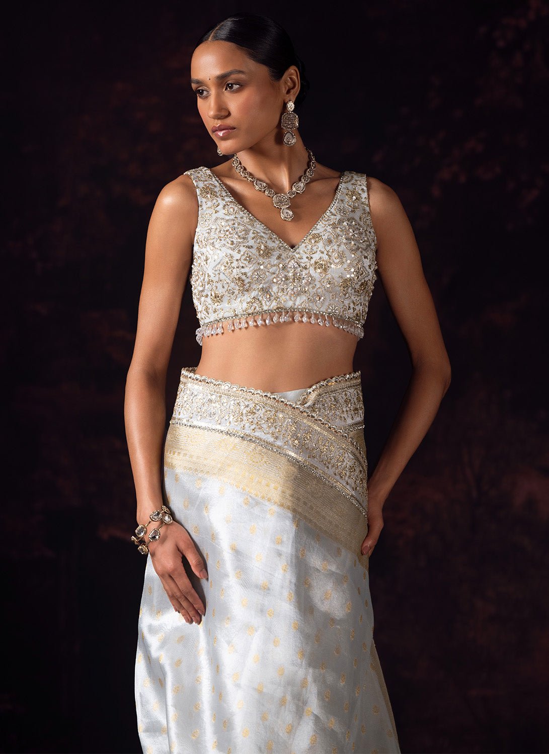 Silver and Gold Embroidered Tissue Saree - Lashkaraa