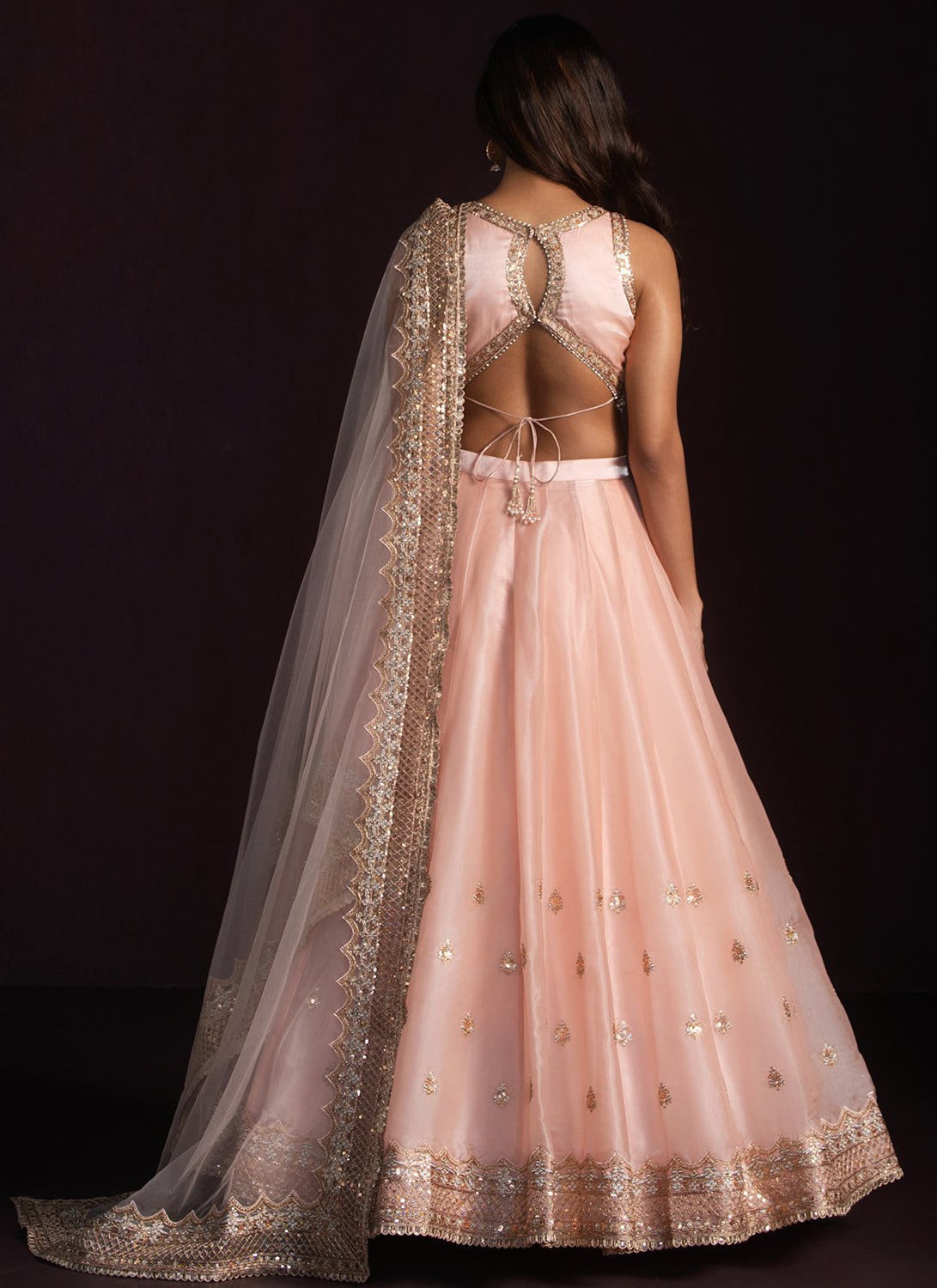 Soft Peach Embroidered Organza Lehenga - Lashkaraa
