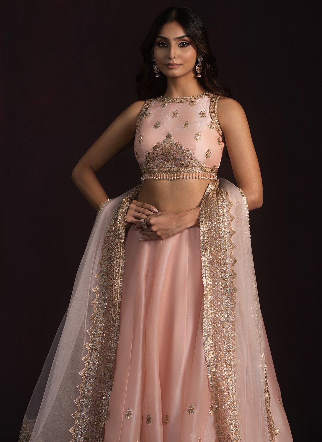 Soft Peach Embroidered Organza Lehenga - Lashkaraa