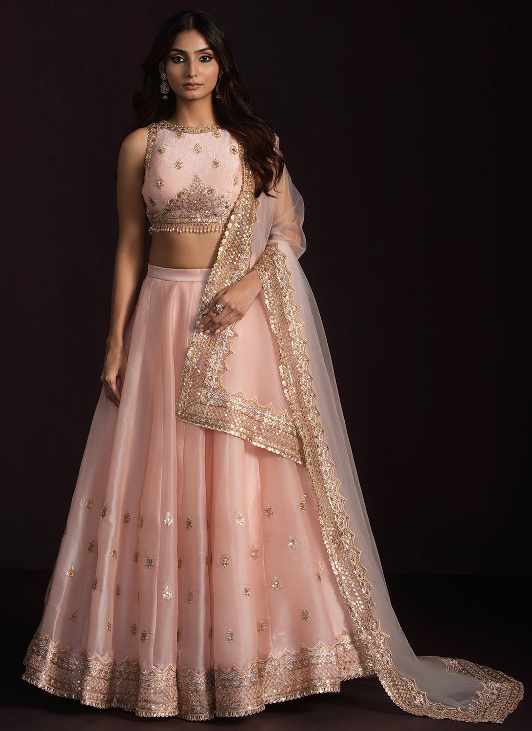 Soft Peach Embroidered Organza Lehenga - Lashkaraa