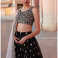 Black and Light Pink Embroidered Net Lehenga - Lashkaraa