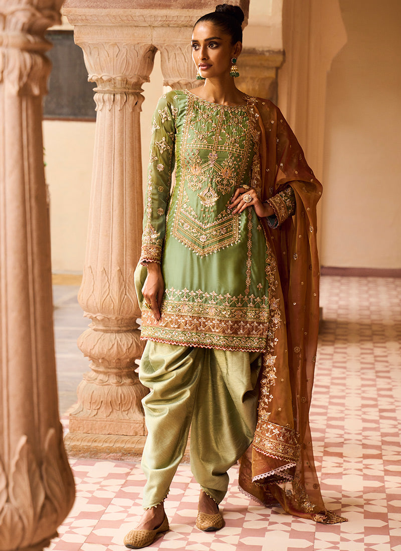 Dusty Green and Rust Punjabi Suit