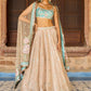 Golden Beige and Dusty Teal Embroidered Lehenga