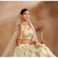 Soft Yellow Embroidered Organza Lehenga