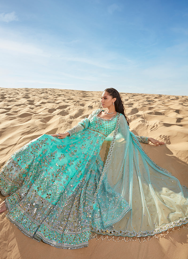 Mint Mirror Embroidered Organza Anarkali