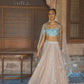 Golden Beige and Dusty Teal Embroidered Lehenga