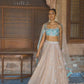 Golden Beige and Dusty Teal Embroidered Lehenga