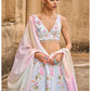 Light Blue Embellished Velvet Lehenga