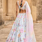 Light Blue Embellished Velvet Lehenga
