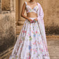 Light Grey Embellished Velvet Lehenga